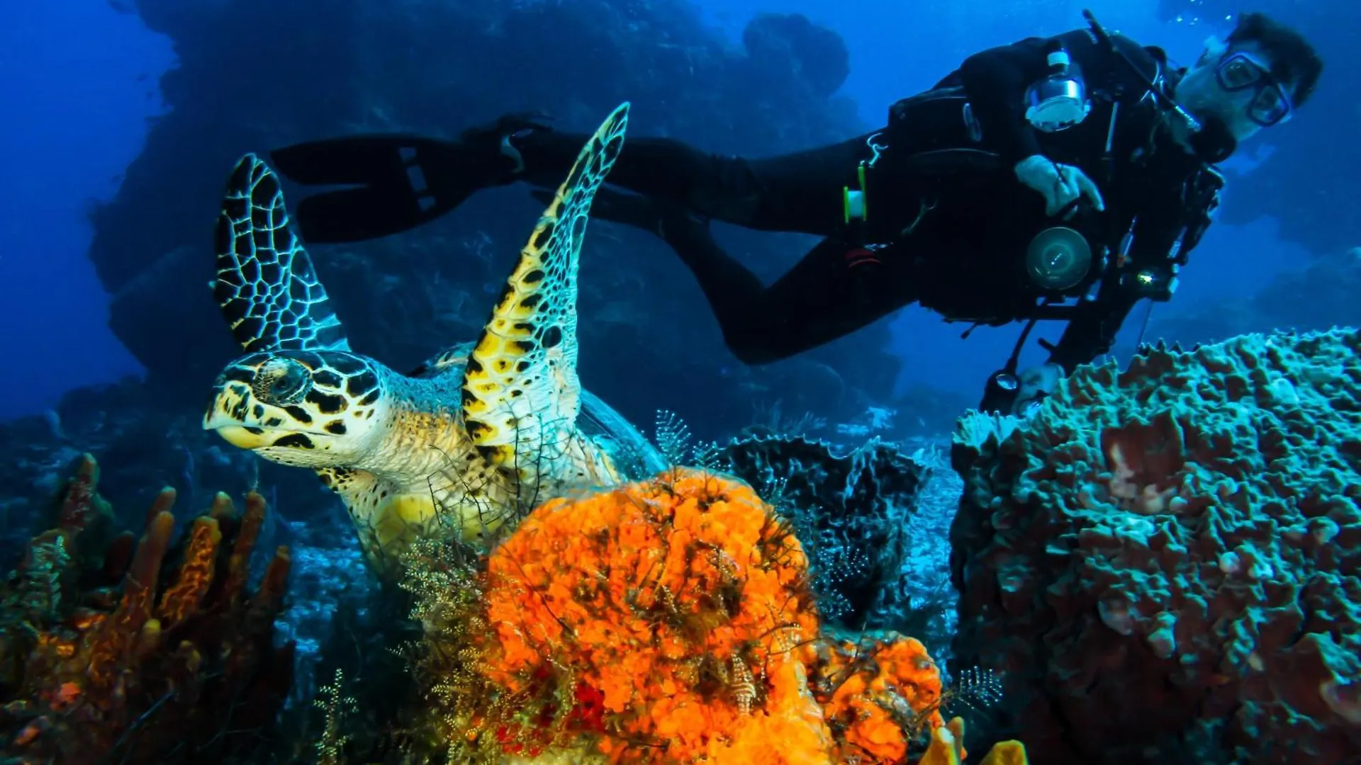 Cozumel Palace-All Inclusive